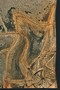 náhled 15. obrázku