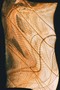 náhled 18. obrázku