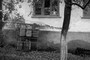 nhled 13. obrzku