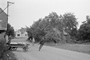 nhled 55. obrzku