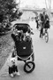 n�hled 47. obr�zku