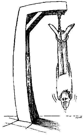 16. obrzek
