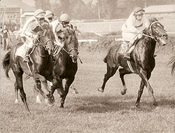 Marcant (zcela vpravo) v eskoslovenskm derby 1986