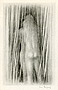 nhled 12. obrzku