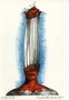 náhled 9. obrázku