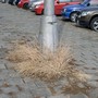 náhled 52. obrázku