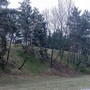 náhled 61. obrázku