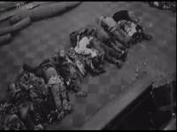 Takových mrtvých bylo 14. února 1945 v Praze 701. Takových mrtvých bylo 14. února 1945 v Praze 701.