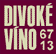 DV 67/2013